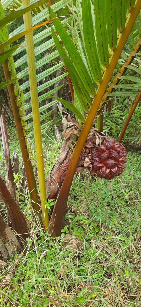 WhatsApp Image 2025-12-20 at 2.42.56 PM