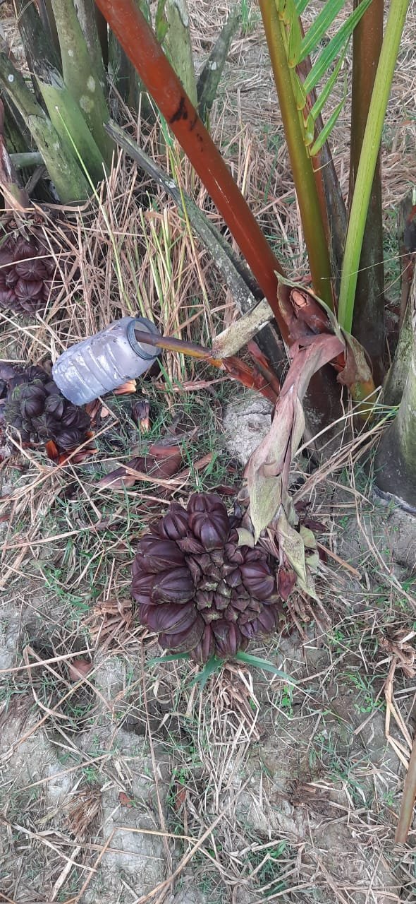 WhatsApp Image 2025-12-20 at 2.42.59 PM(1)