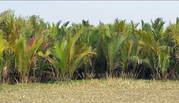 WhatsApp Image 2025-12-20 at 2.43.00 PM