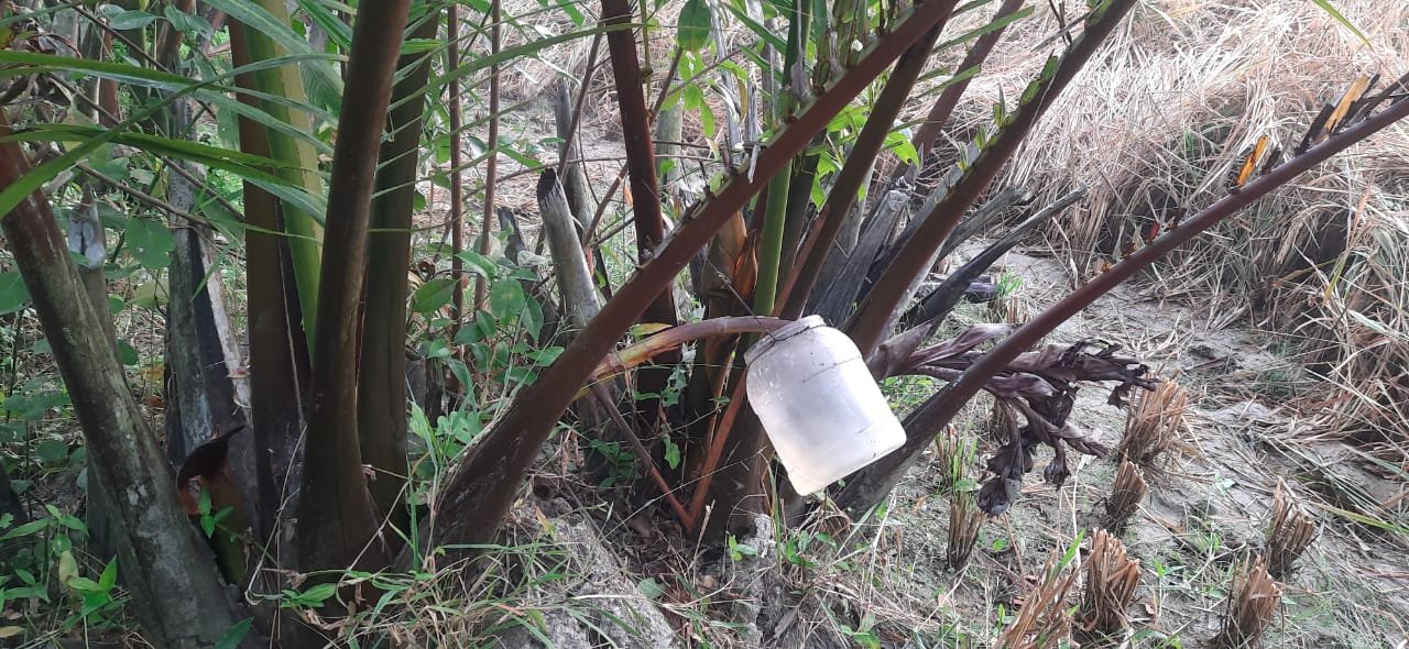 WhatsApp Image 2025-12-20 at 2.43.00 PM(1)