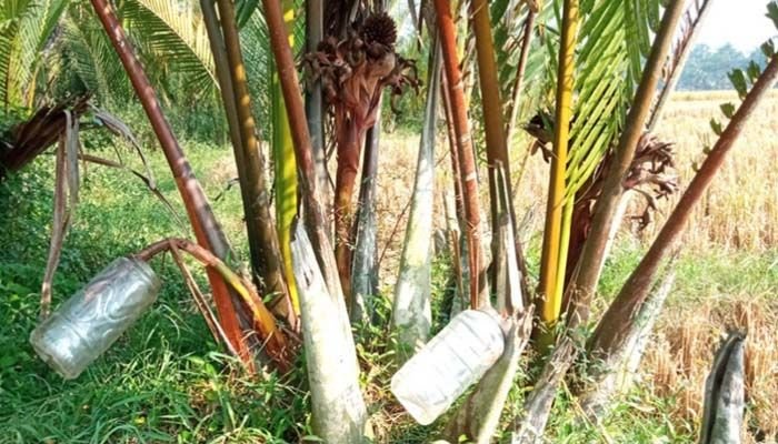 WhatsApp Image 2025-12-20 at 2.43.01 PM